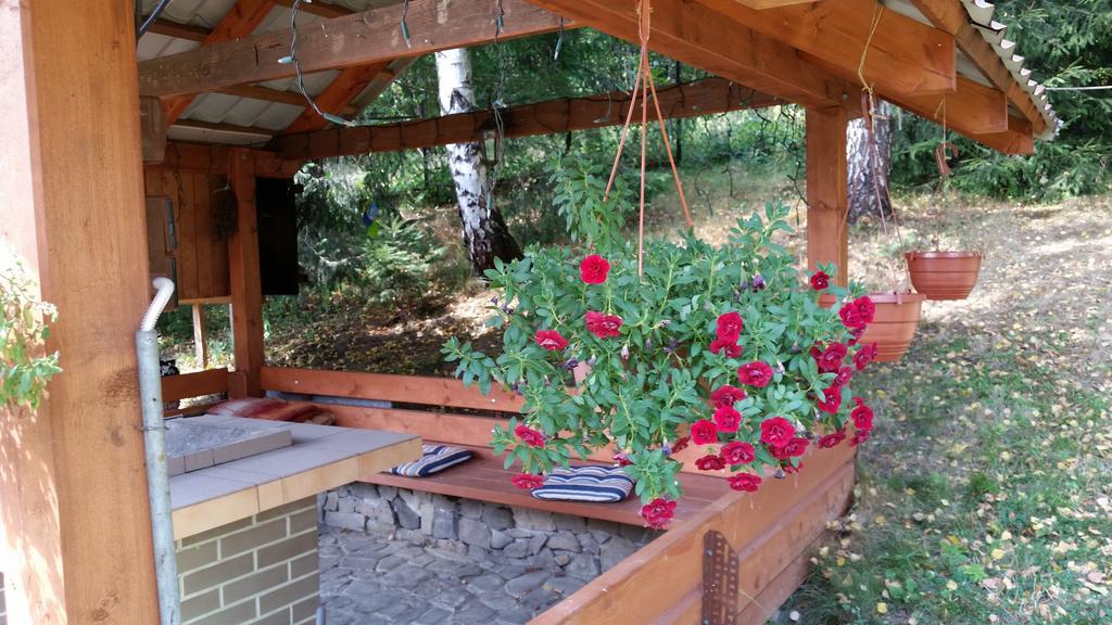 Pokoje Na Skalicy Ustroń Buitenkant foto