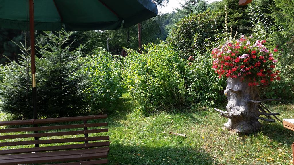 Pokoje Na Skalicy Ustroń Buitenkant foto