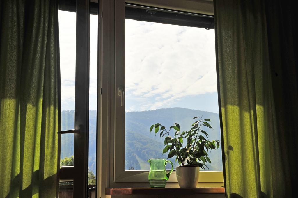 Pokoje Na Skalicy Ustroń Kamer foto