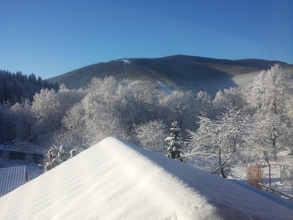 Pokoje Na Skalicy Ustroń Buitenkant foto
